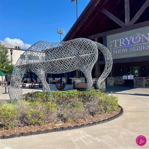 Image result for Tryon Equestrian Center