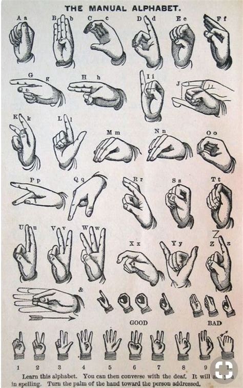American Sign Language 101 的图像结果