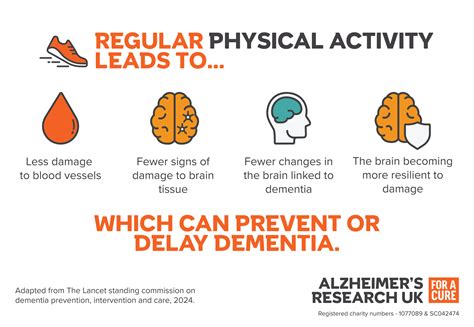 How Does Exercise Affect Alzheimer’s Risk: What The Science Shows