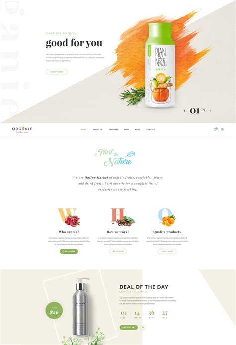 深圳网站设计公司分享-时尚简约的美食购物网站设计