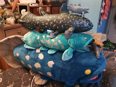 Fish Stack Cod 的图像结果