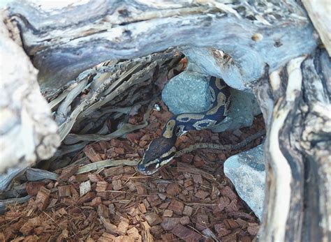 Detail - Zürcher Tierschutz