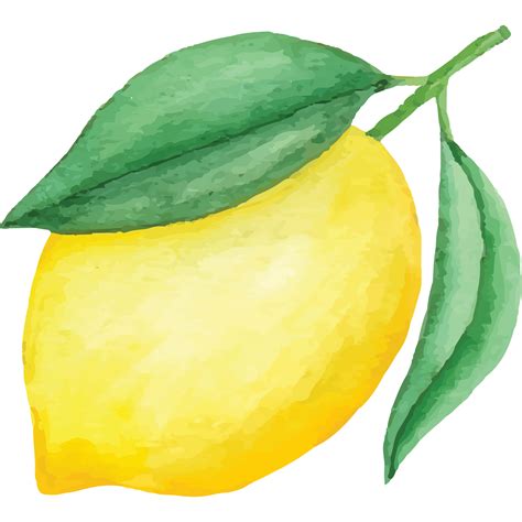 Green Lemon Clip Art