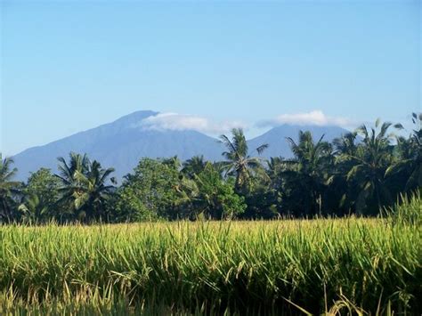 Ubud Photos - Featured Images of Ubud, Gianyar Regency - Tripadvisor