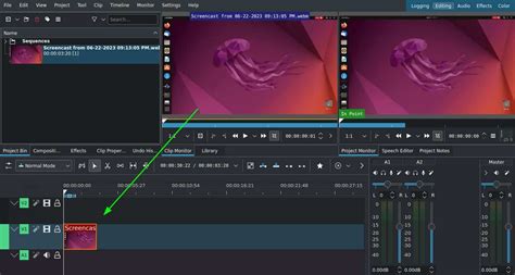 Kdenlive Not Start 的图像结果