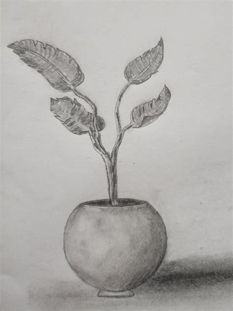 How To Draw A Flower Pot With Pencil Shading | Best Flower Site