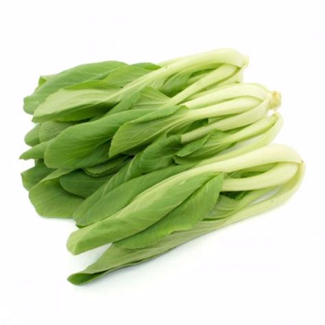 Bok Choy / Xiao Bai Cai Seeds (OOS), Furniture & Home Living, Gardening, Plants & Seeds on Carousell