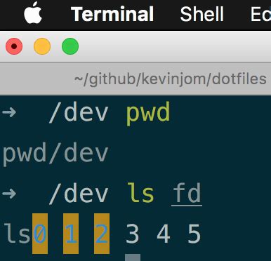 Image result for Command Terminal Input
