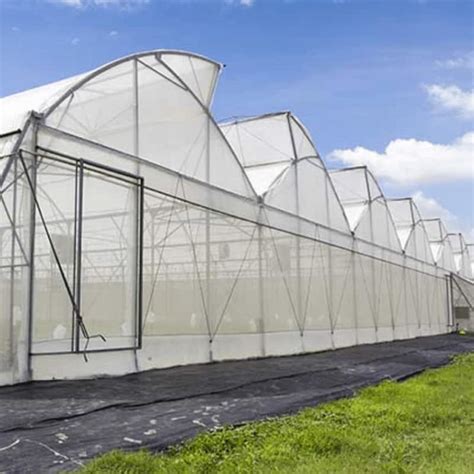 Image result for Insect Mesh Netting