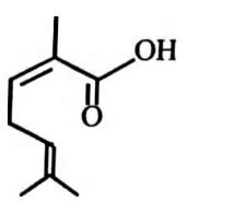 The IUPAC name of - Tardigrade