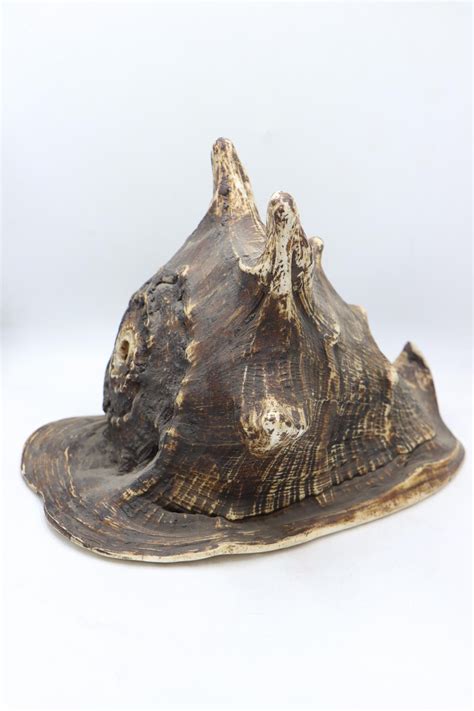 Image result for Conch Shell Soundtrack