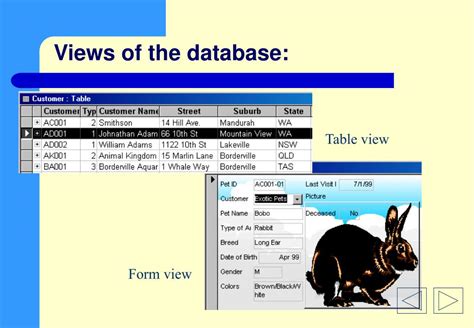 Tutorial View Databases 的图像结果