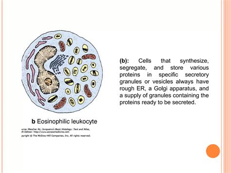 General morphology of the cell | PPTX