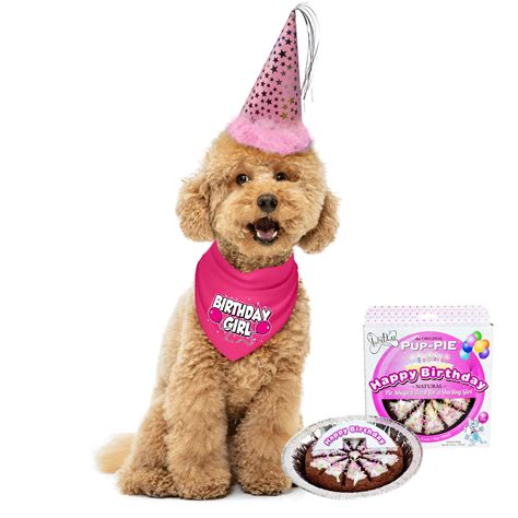 Printable Birthday Hats For Dogs at Rose Longstaff blog