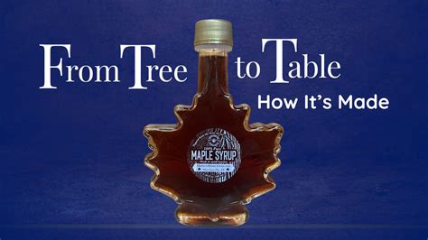 Clover Honey vs. Wildflower Honey: Which Is Healthier and Why?