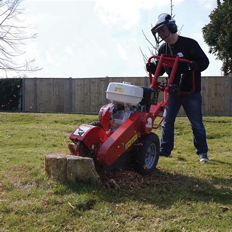 Image result for Tree Stump Grinder
