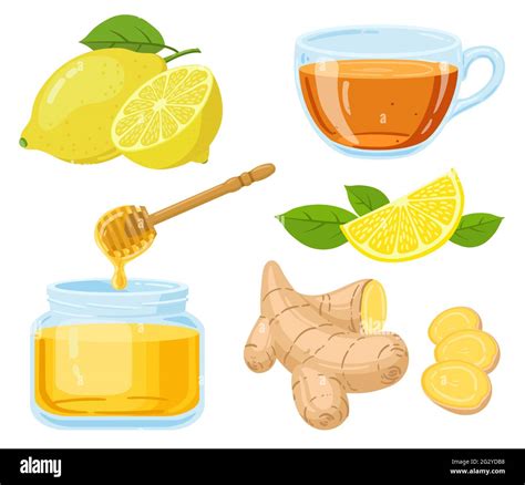 Natural cough remedies. Honey, vitamin c lemon, hot tea and chopped ginger root cartoon vector ...