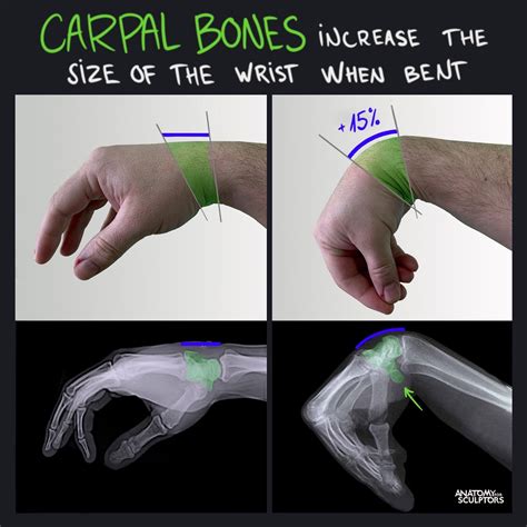 How to make wrist stronger online
