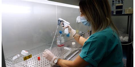 Impiantati neuroni anti-Parkinson da staminali embrionali umane