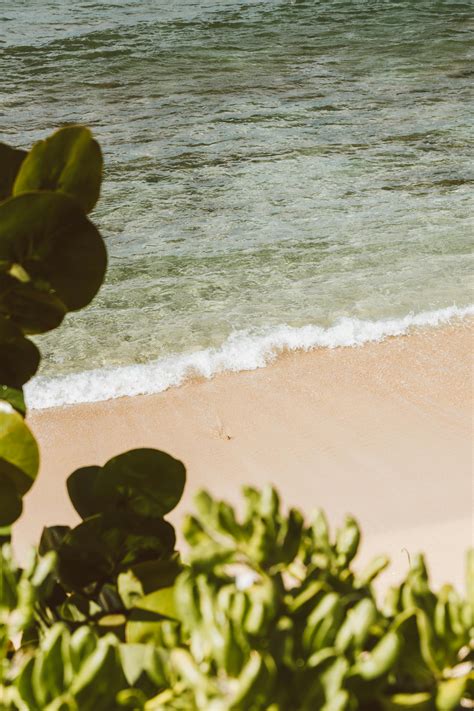 Swimming in Sea 的图像结果