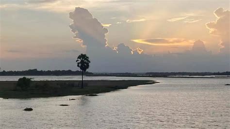 8th South Asian Short Film Festival: Sri Lankan documentary wins ...