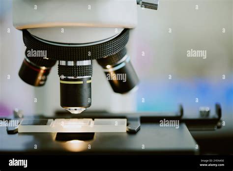 Image result for Microscope Slide View