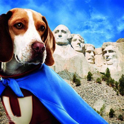 超狗任務(2007)的海報和劇照 第9張/共12張【圖片網】