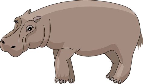 Hippo Art, Animal Illustration, Cute PNG