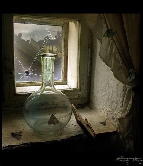 Digital Photography Examples 的图像结果