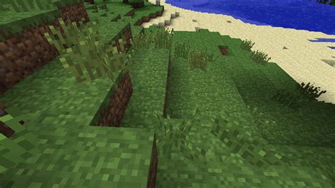 Image result for Java Edition Beta 1.6 Test Build 3 Minecraft Beta 1.6 Features