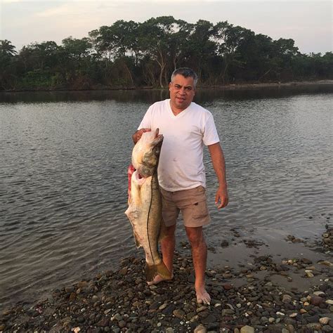 CASA EN LA CEIBA - Guesthouse Reviews & Photos - Tripadvisor