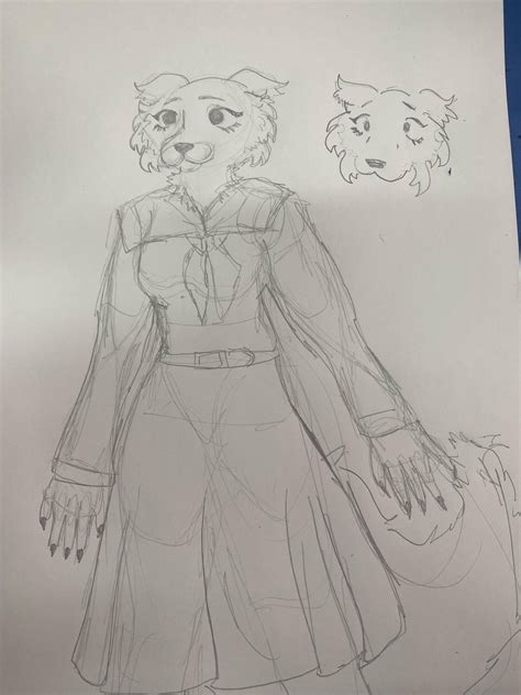 a sketch of my lovely girl Juno I did on class : r/Beastars