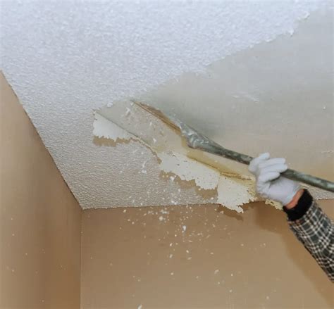 Image result for Popcorn Ceiling Removal