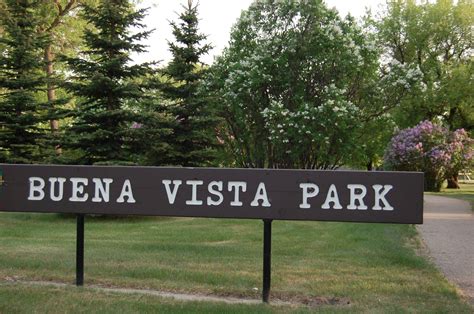 Buena Vista Park Upgrade - Buena Vista Community Association