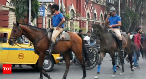 Kolkata Mounted Police Horse: Kolkata Mounted Police Horses Return to ...