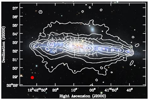 Magnetic Fields and Halos in Spiral Galaxies