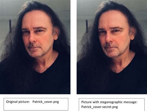 Image result for Steganography Using Python