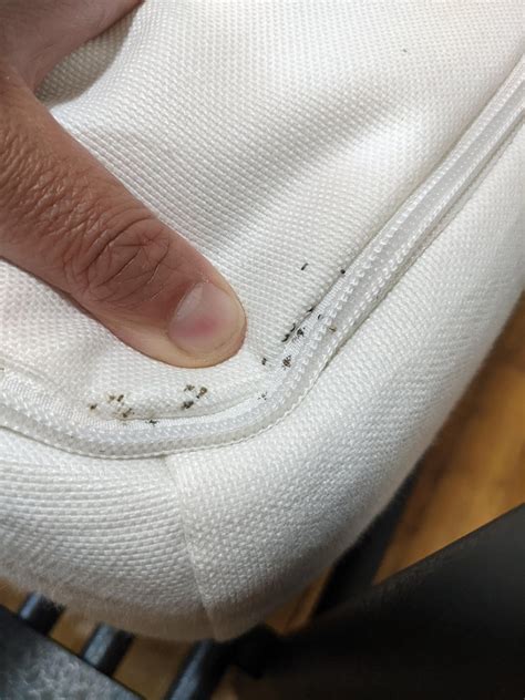 Found small dark marks in seam of mattress... Bed bug droppings or ...