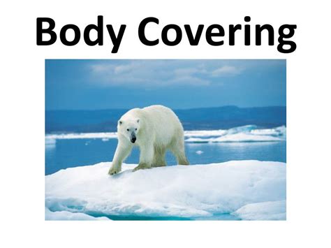 Image result for Structural Adaptation Examples