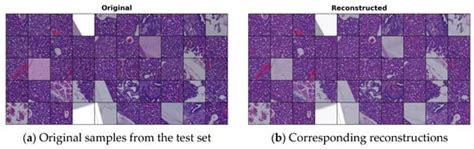 Implementation of a Conditional Latent Diffusion-Based Generative Model ...