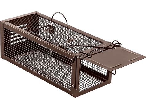 Traps for Chipmunks Home Depot 的图像结果