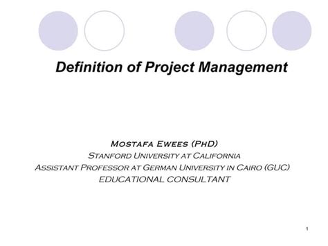Project Management Definition 的图像结果