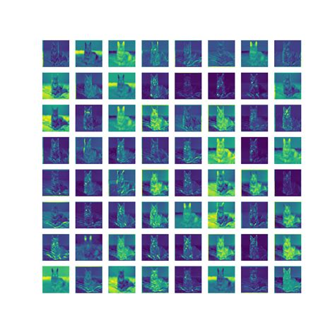 Feature Map Example 的图像结果