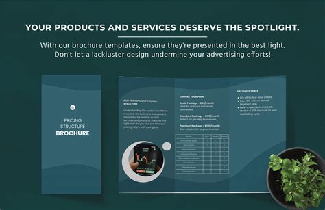 Pricing Structure 的图像结果