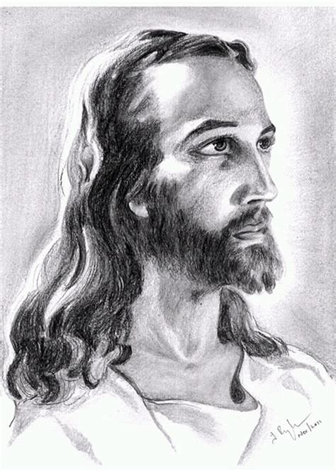 Still Life Painting Explained: History, Types, and Tips