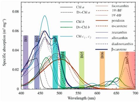 Phytoplankton Genera Structure Revealed from the Multispectral Vertical ...
