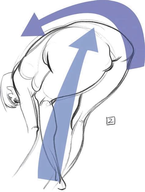 Force Drawing Method 的图像结果