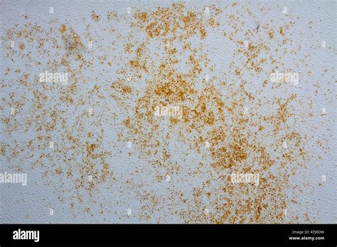 Image result for Rust On-Metal