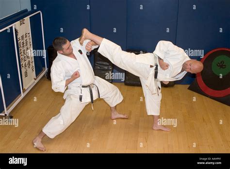 Karate 的图像结果