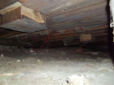 Muskoka Insulation Experts: Insulating Crawl Spaces and Basement Walls